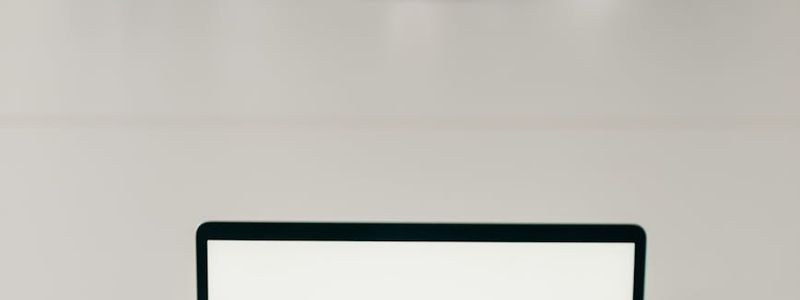 Minimalist workspace with a laptop and a plant.