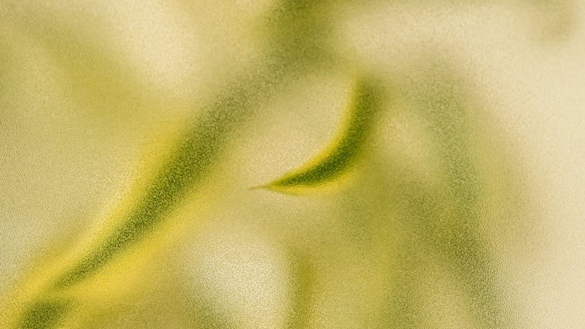 Soft abstract background with gentle green light.